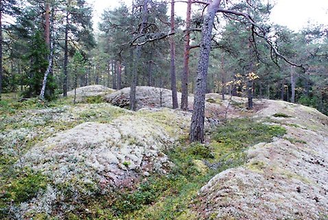 Berghällar i Bergaområdet